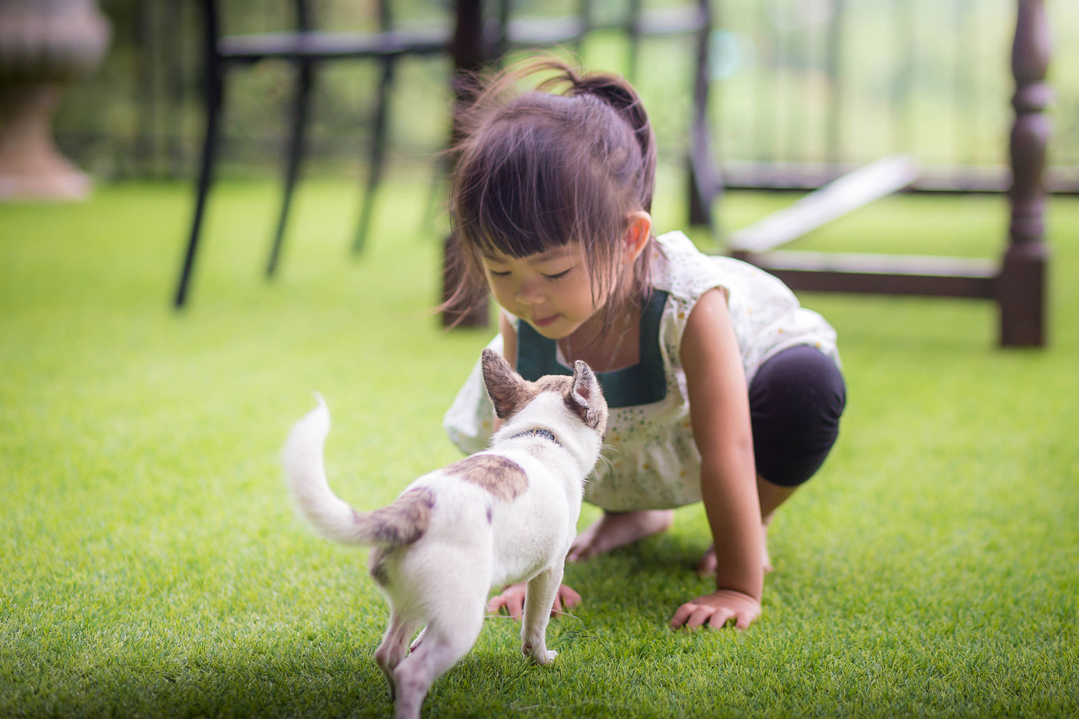 Child playing with pet on artificial turf lawn